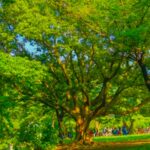 【浮気調査事例】東京都（三鷹市、府中市、昭島市）